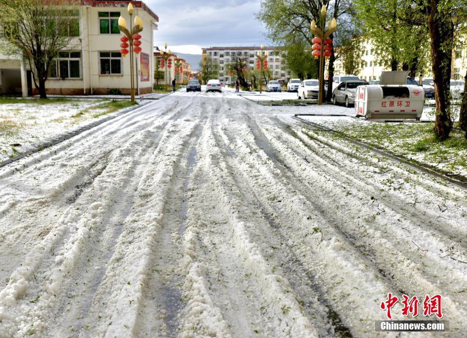四川紅原發(fā)生罕見(jiàn)冰雹天氣最大直徑達(dá)15毫米